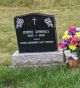 Jennie Hayes Sparkes headstone