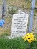 Terrence Sparkes headstone